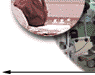 cl3.gif (2448 bytes)